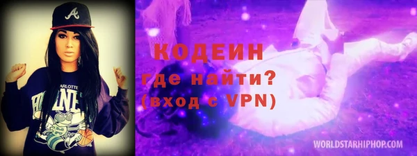 стаф Осинники