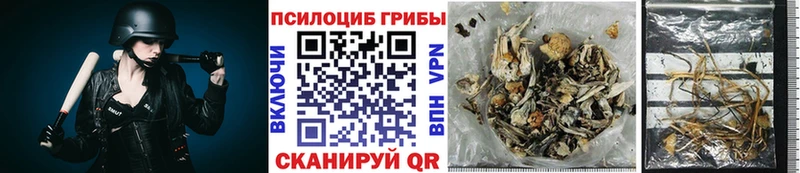 KRAKEN ТОР  Серов  Галлюциногенные грибы Magic Shrooms 